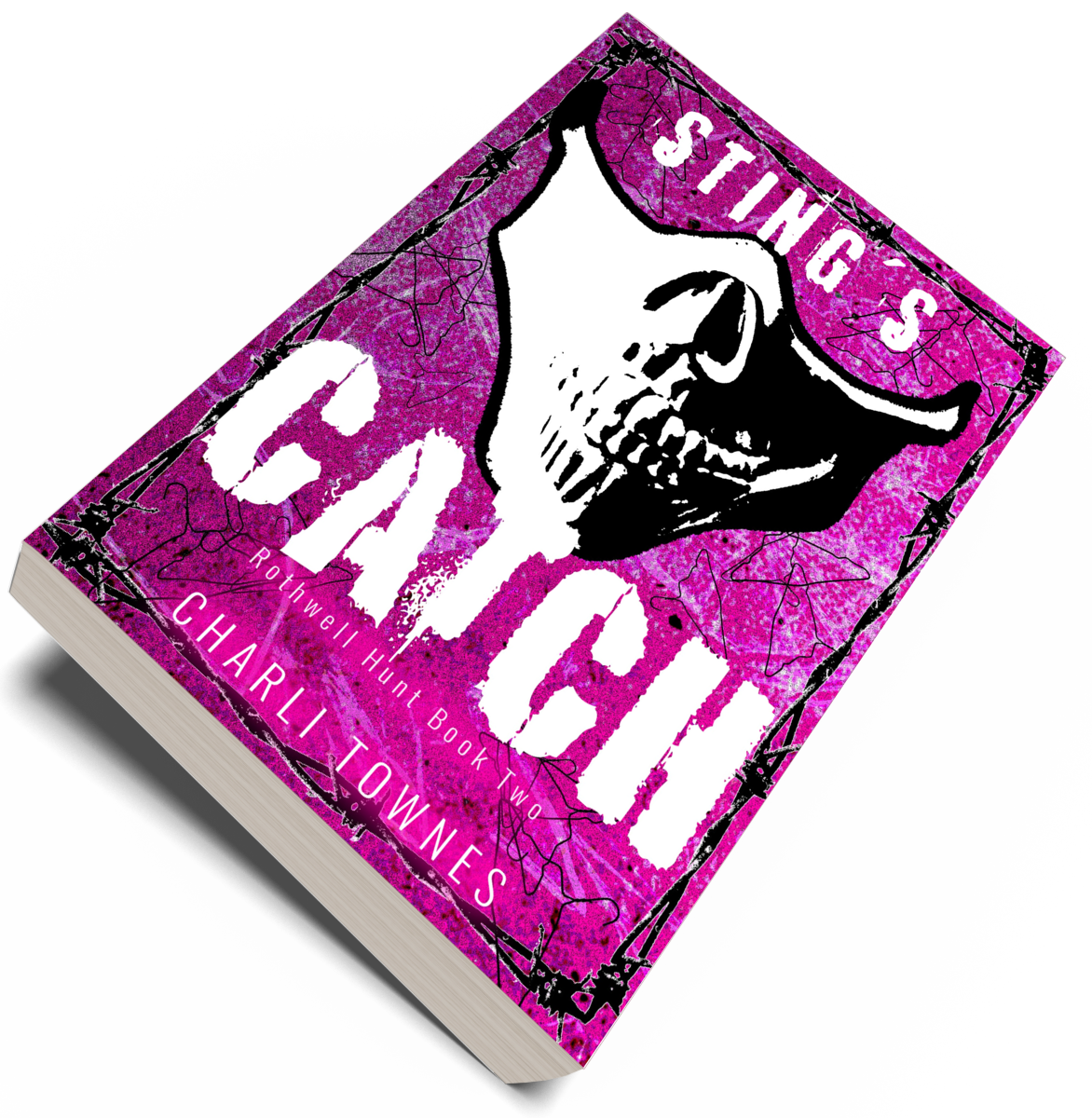 Sting's Catch Paperback, DISCREET COVER
