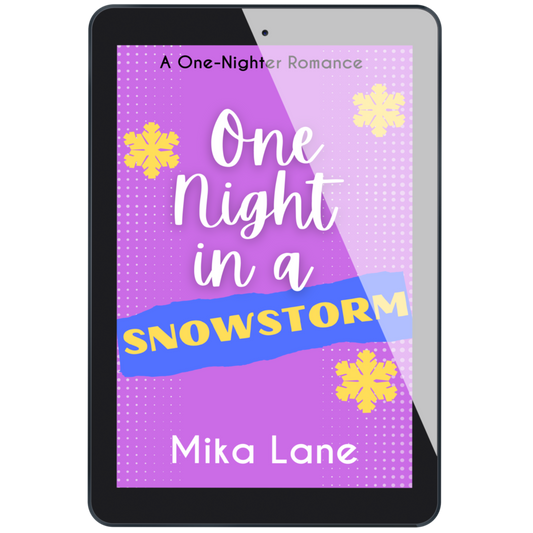 One Night in a Snowstorm: A Romance Ebook